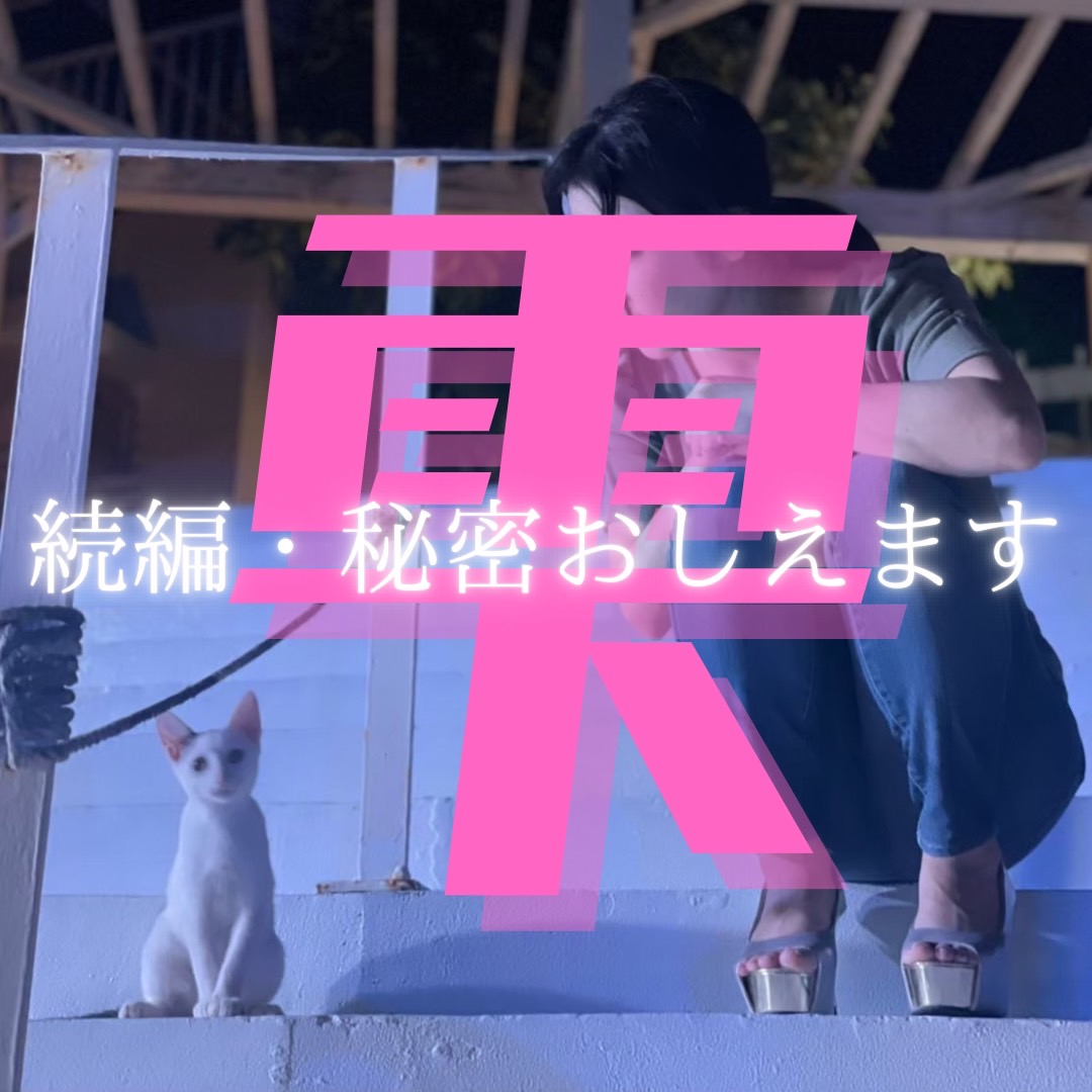 子猫と女性が並んで座る夜の階段シーン。画面中央に大きく「雫」、その下に「続編・秘密おしえます」の文字。