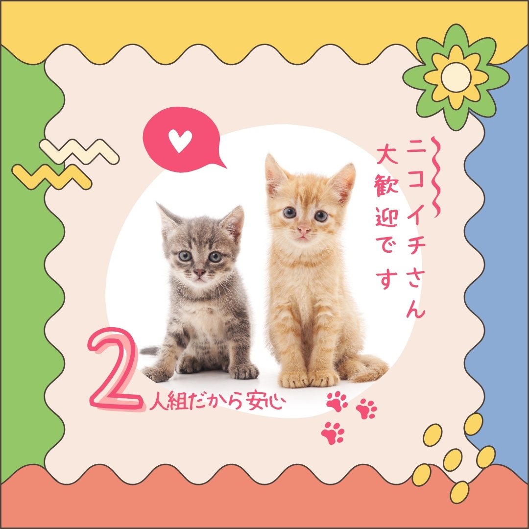2匹の子猫が並んで座っており、「ニコイチさん大歓迎です」「2人組だから安心」といった歓迎メッセージが添えられている画像