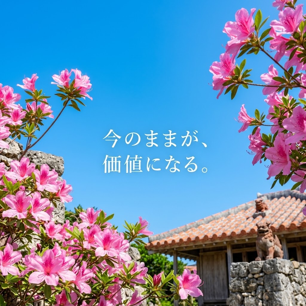 東村つつじ祭りのような鮮やかなピンクの花々と沖縄の青い空