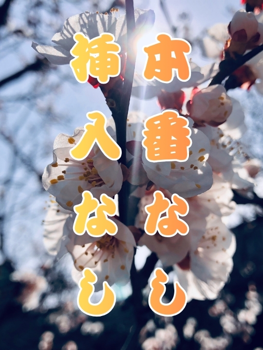 春に新しい働き方を考える女性