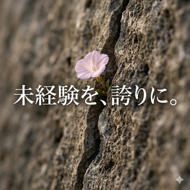 沖縄 風俗 求人 未経験 | コンクリートの隙間に咲く花のように。静かなる強さの再発見