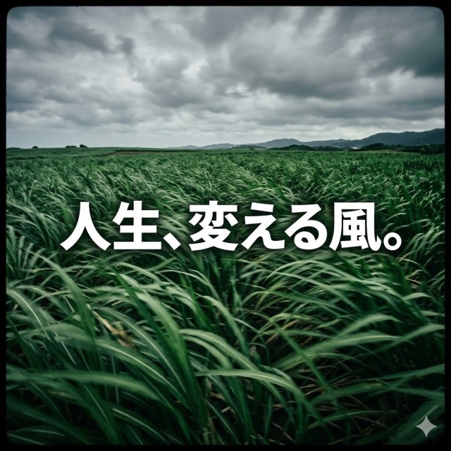 ALT: サトウキビの葉の波打つ音、風に揺れる緑の絨毯 Description: 未経験からの挑戦を迷っている那覇の女性へ。季節の変わり目、湿った南風と共に人生の舵を切ってみませんか。ハンドリング亀頭責め専門店は、脱がない・触られない「技術」で貴女の自立を支援します。銀行OB店長が管理。 Keywords: 那覇 風俗 未経験, 沖縄 夜職 稼げる, ハンドリング亀頭責め専門店 風が変われば、貴女の価値も変わる。 那覇の街を吹き抜ける、湿った南風。 サトウキビの葉が波打つ音を聞きながら、ふと「今のままでいいのだろうか」と足が止まる。 今日のSNSでも話題でしたが、私たちは常に変化を恐れ、同時に望んでいます。 未経験という不安は、貴女が新しい宝石に生まれ変わるための、正しい陣痛です。 「不器用な努力を、高潔な職能へ。」 銀行出身の私は、無駄な停滞を「損失」だと考えます。 未経験だからこそ、他店の色に染まっていない真っ白な貴女だからこそ、当店の高潔な手技は最短距離で身につきます。 脱がない、触られない。 その技術は、誰にも奪われない一生の資産になるはずです。 私が盾となります。新しい風に乗ってみませんか。 まずはLINEで『ブログ見ました』とだけ。 ▶LINEで相談する🔽